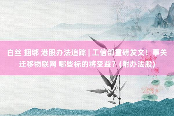 白丝 捆绑 港股办法追踪 | 工信部重磅发文！事关迁移物联网 哪些标的将受益？(附办法股)