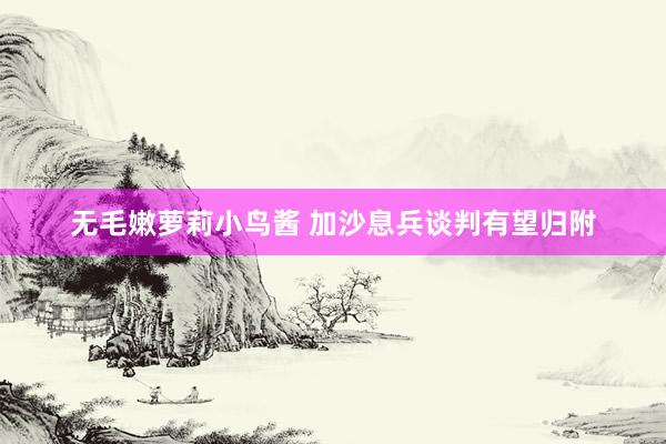 无毛嫩萝莉小鸟酱 加沙息兵谈判有望归附