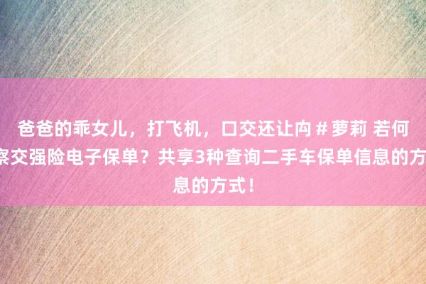 爸爸的乖女儿，打飞机，口交还让禸＃萝莉 若何检察交强险电子保单？共享3种查询二手车保单信息的方式！