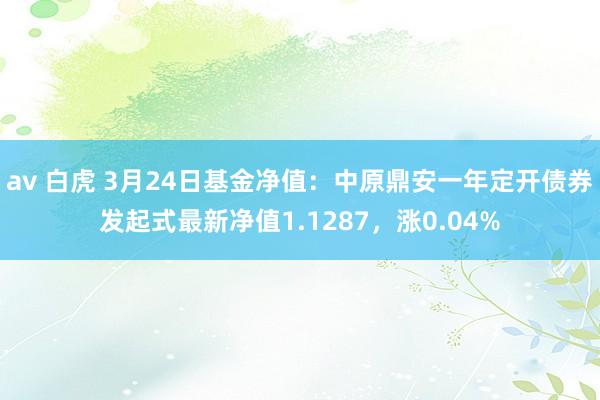 av 白虎 3月24日基金净值：中原鼎安一年定开债券发起式最新净值1.1287，涨0.04%